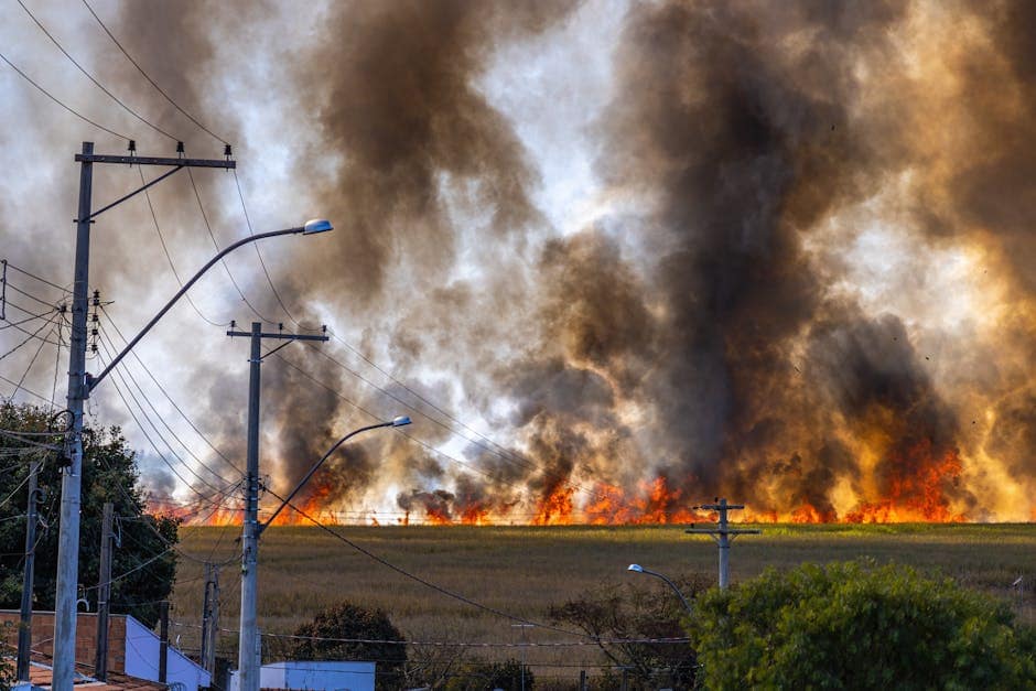 Rural landscape with a field engulfed in flames and thick smoke rising under a clear sky.