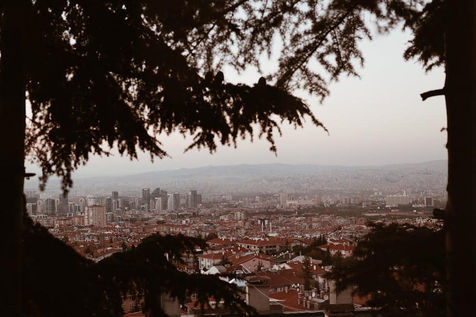 A scenic view of Ankara's skyline framed by trees, showcasing urban architecture.