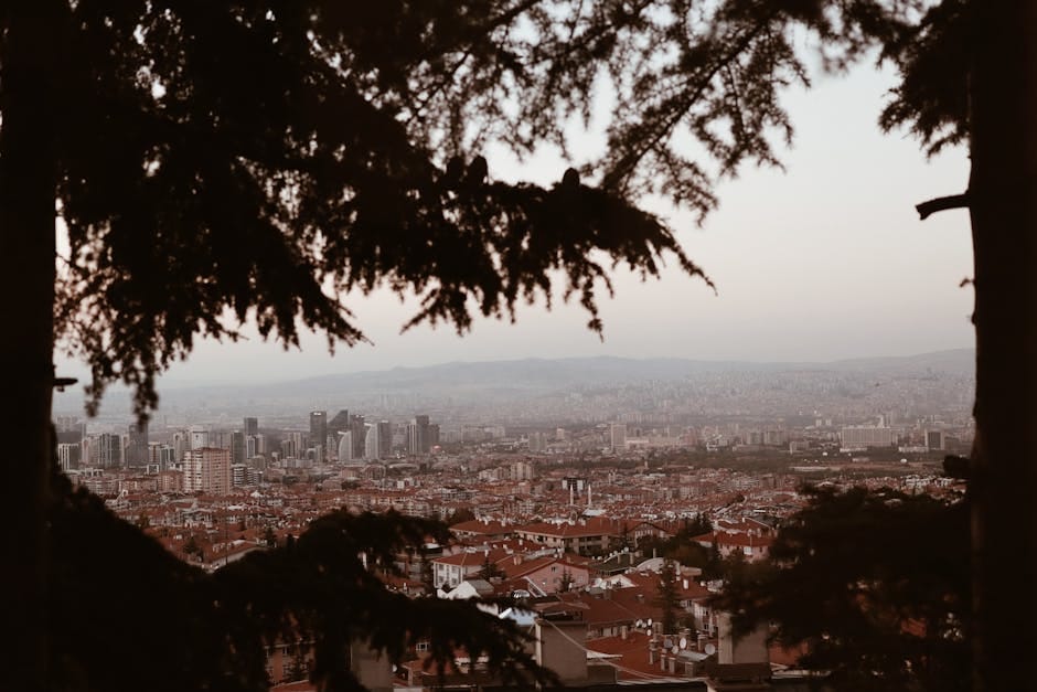 A scenic view of Ankara's skyline framed by trees, showcasing urban architecture.