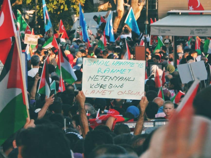 Crowd gathered at a protest with signs and various flags in daylight.